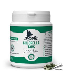 Chlorella voor honden - Voor het immuunsysteem & de stofwisseling van je hond - Bestel online