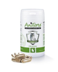 AniForte® Tekenschild voor katten (60 capsules)