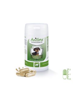 AniForte® Tekenschild voor kleine honden (tot 10 kg)