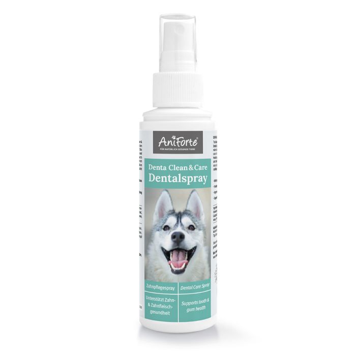 AniForte Denta Clean & Care Dentalspray voor Honden